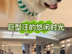 -YCHL Studios健身工作室(市二宫店)