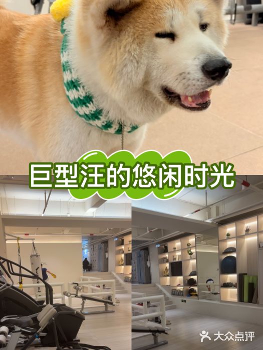 YCHL Studios健身工作室(市二宫店)图片