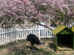 -哈尔滨北方森林动物园