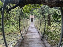-海南热带雨林国家公园吊罗山景区