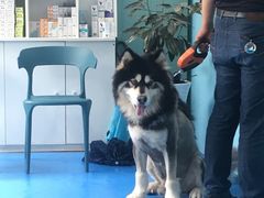 -佳怡动物医院·平价24小时·猫专科骨外科