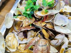 炒花蛤-老虎滩大连海鲜烧烤(建邺云锦路总店)