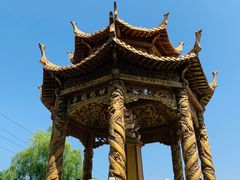 -东方巨龟苑景区