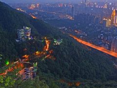 -南山植物园