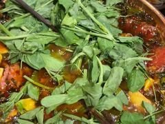 -火塘云南烧烤大排档