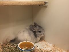 -龙猫仔乐园(惠福东路店)