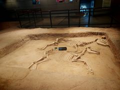 -洛阳周王城天子驾六博物馆