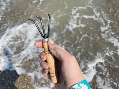 -红岛休闲渔村