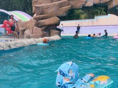 -秦皇岛乐岛海洋王国