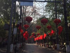 -攀枝花公园