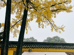 -成都市文殊院