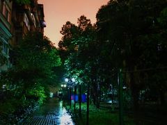 -花博汇(知音花月夜)