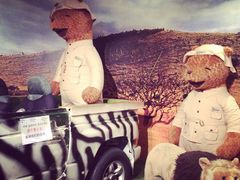 -济州岛泰迪熊博物馆