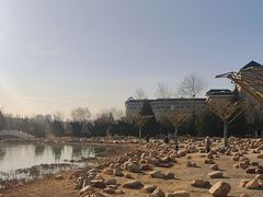 -绿岛公园(滨海新区)