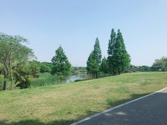 -尚贤河湿地