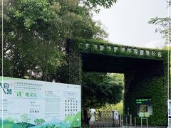 -华侨城湿地公园
