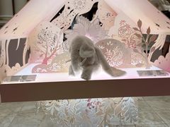 -上海外滩华尔道夫酒店