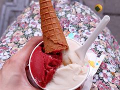 -Dip in Gelato(富民路店)