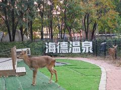 -海德温泉生活馆(朝阳大悦城店)