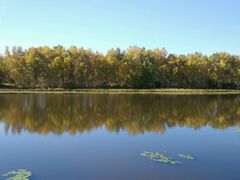 -塞罕坝国家级自然保护区