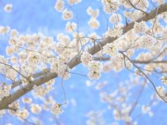 -龙美术馆(西岸馆)