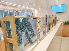 -CHAFORU星卡里(长江二路店)