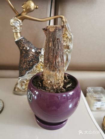 成天在家待着，每天都去看我家的群臣，总想浇点水