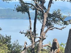 -丽江泸沽湖景区