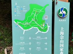 -上海佘山国家森林公园天马山园