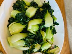 奶白菜苗-新荣记(新源南路店)