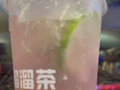 -TD66高山铁皮石斛养生茶饮