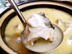 白汤河豚鱼-天正河鲀·河豚亭(大连店)