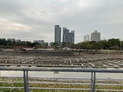 -文华公园(禅城区)