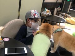 -逗柴咖啡屋·狗咖猫咖宠物桌游