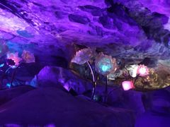 -苏州太湖西山岛开心农场