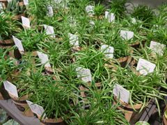 -鹿岛会员店 (龙湖三千集天街店)