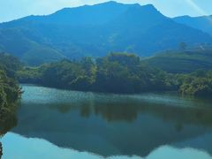 -北京西山国家森林公园