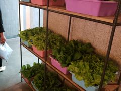 -番食园鲜食火锅(高新店)