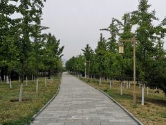 景点-青龙湖公园