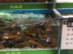 -永辉超市(鲁谷店)