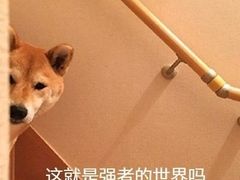 -宗泉烤全羊·烤羊腿·家常菜(解放东路店)