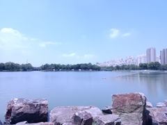 -南翔镇银翔湖公园