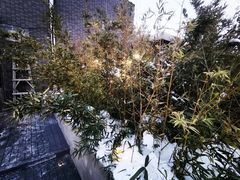 -漪龙台·B26 Rooftop Lounge