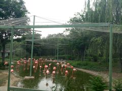 -石家庄市动物园