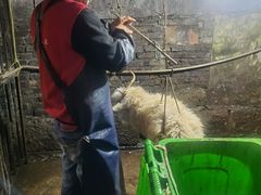 -山地居烤全羊·柴火鸡(大坪-半山公馆店)