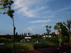 -春花秋色城市公园