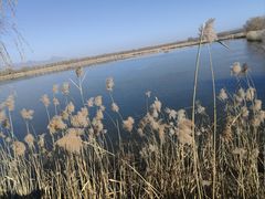 -野鸭湖国家湿地公园