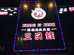 -麻辣巅峰美蛙鱼头火锅(犀浦店)