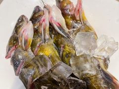 -海底捞火锅(金光华店)