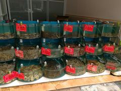 水产区-聚德福海鲜家常菜(刘庄店)